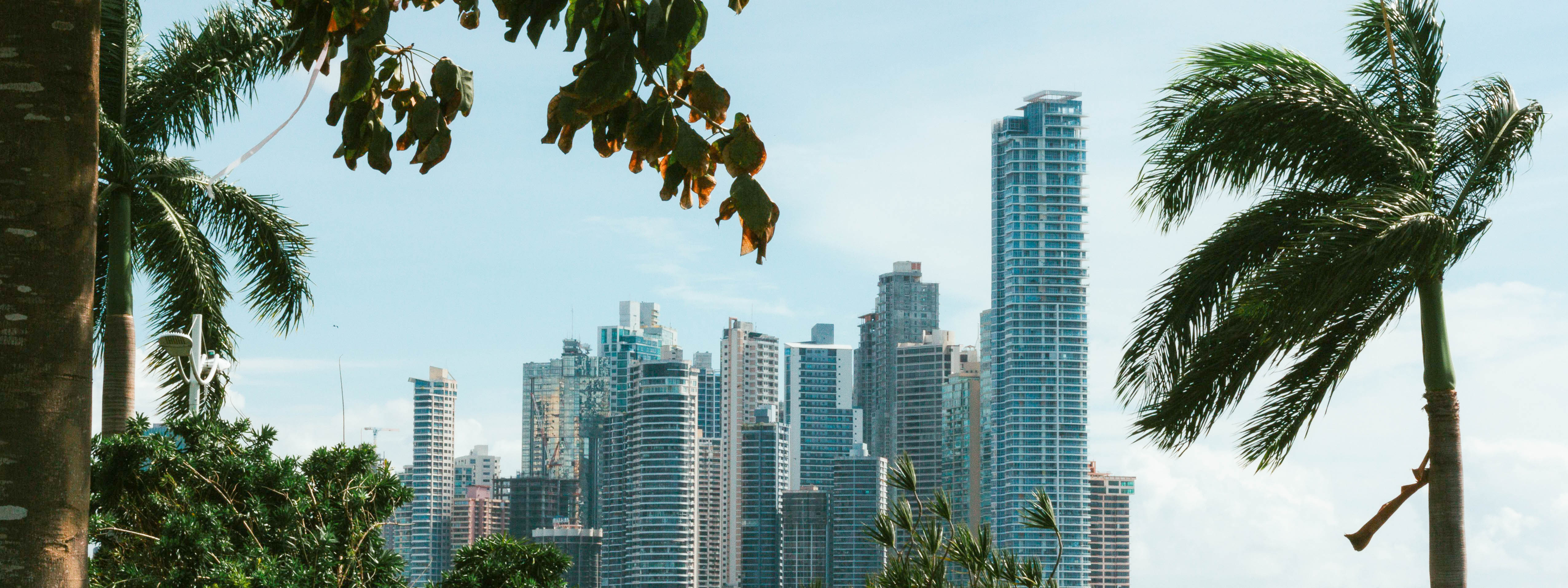 A view of downtown Panama City, Panama with palm trees and water in the foreground. 