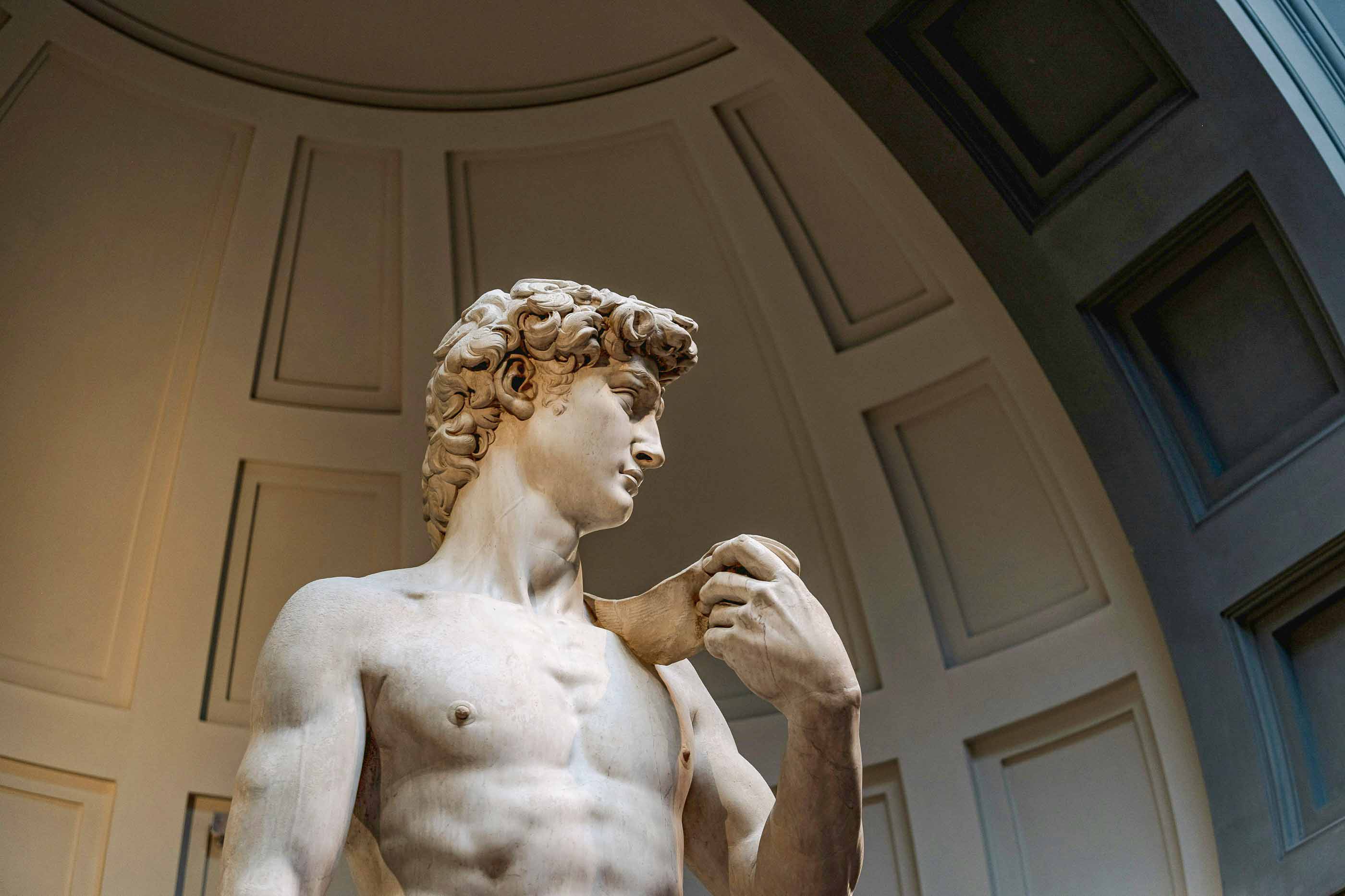 A close up of the face of Michelangelo's David statue.