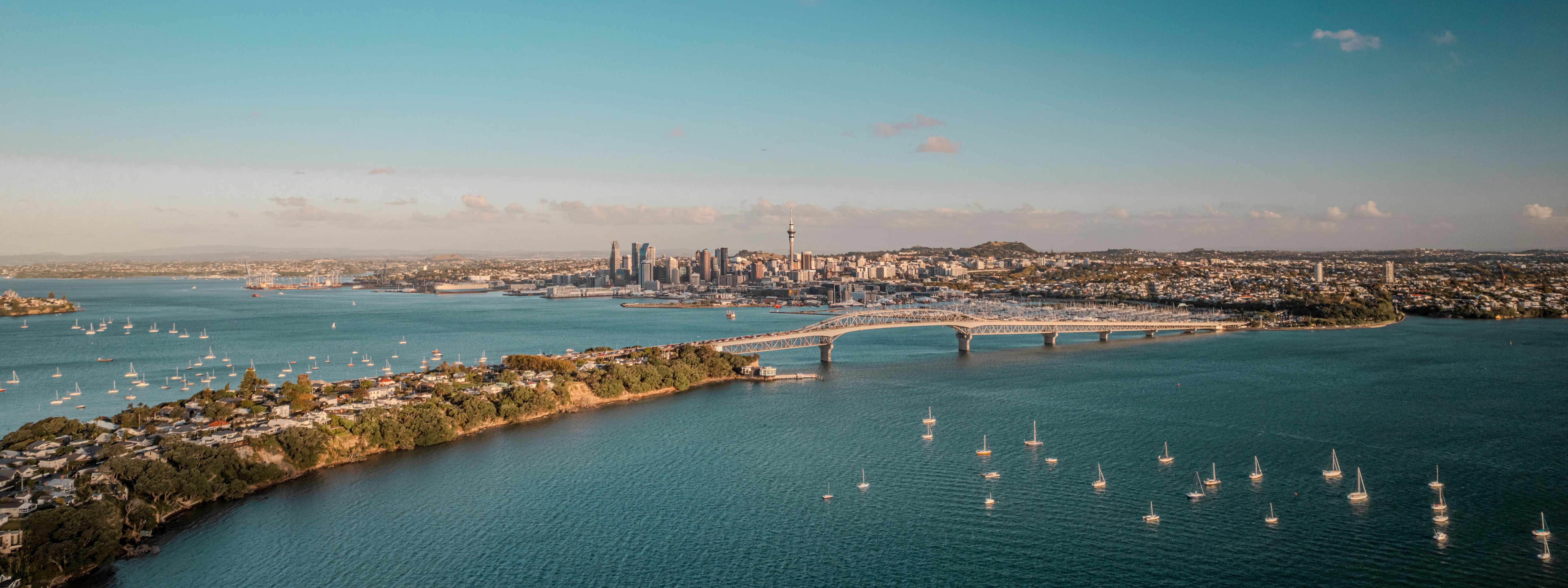An aerial view of the harbor in Auckland.
