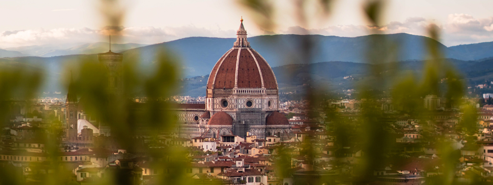 A view of the Duomo through trees.