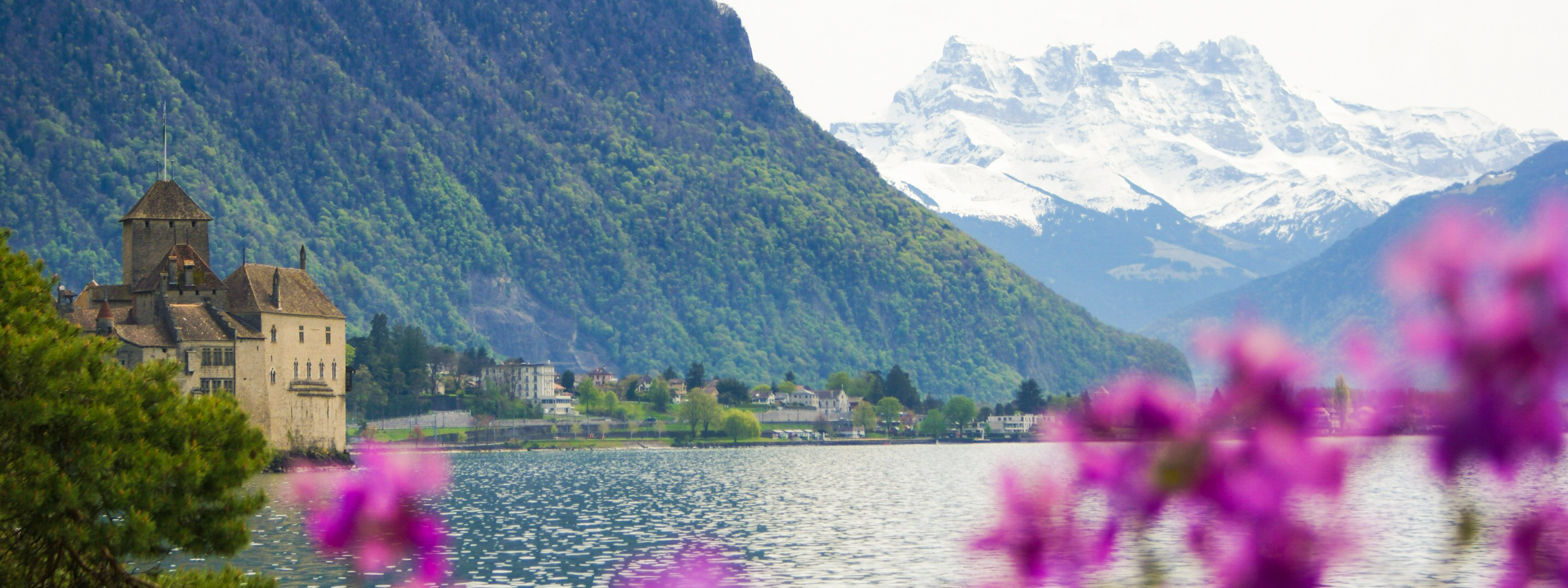 A view of a castle with a lake and flowers in the foreground and mountains behind. 