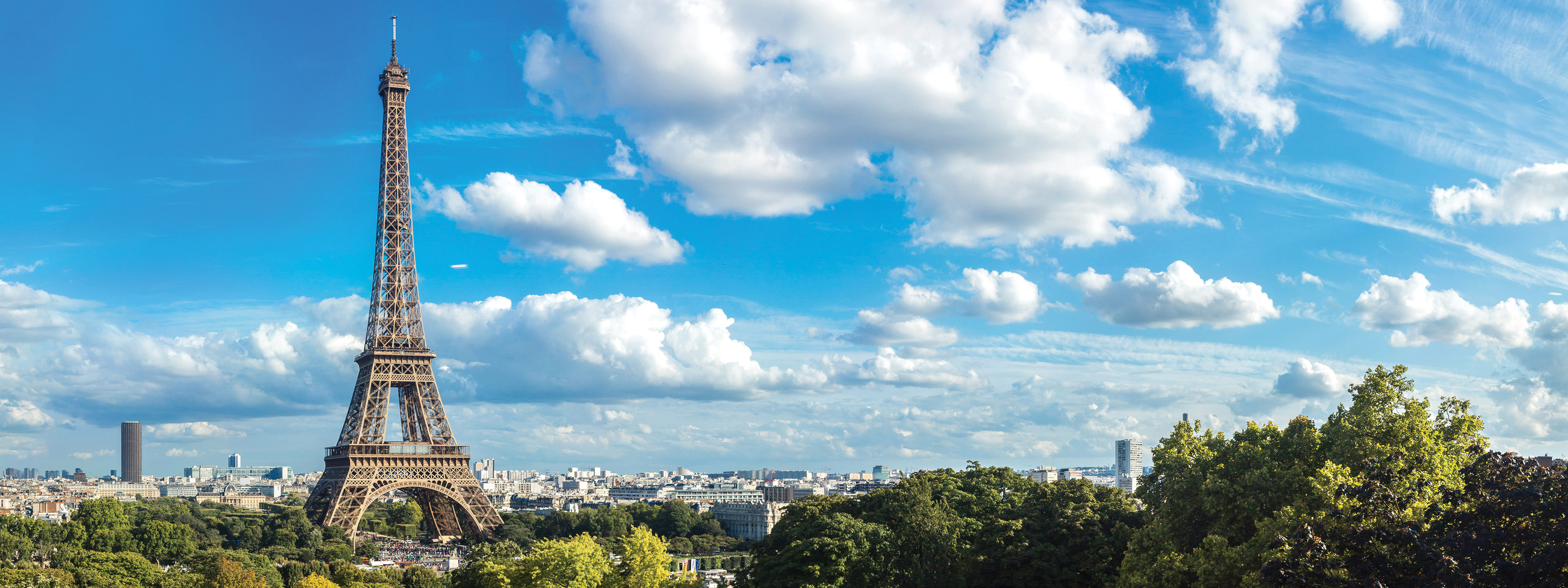 A view of the Eiffel Tower with tree tops in the foreground. 