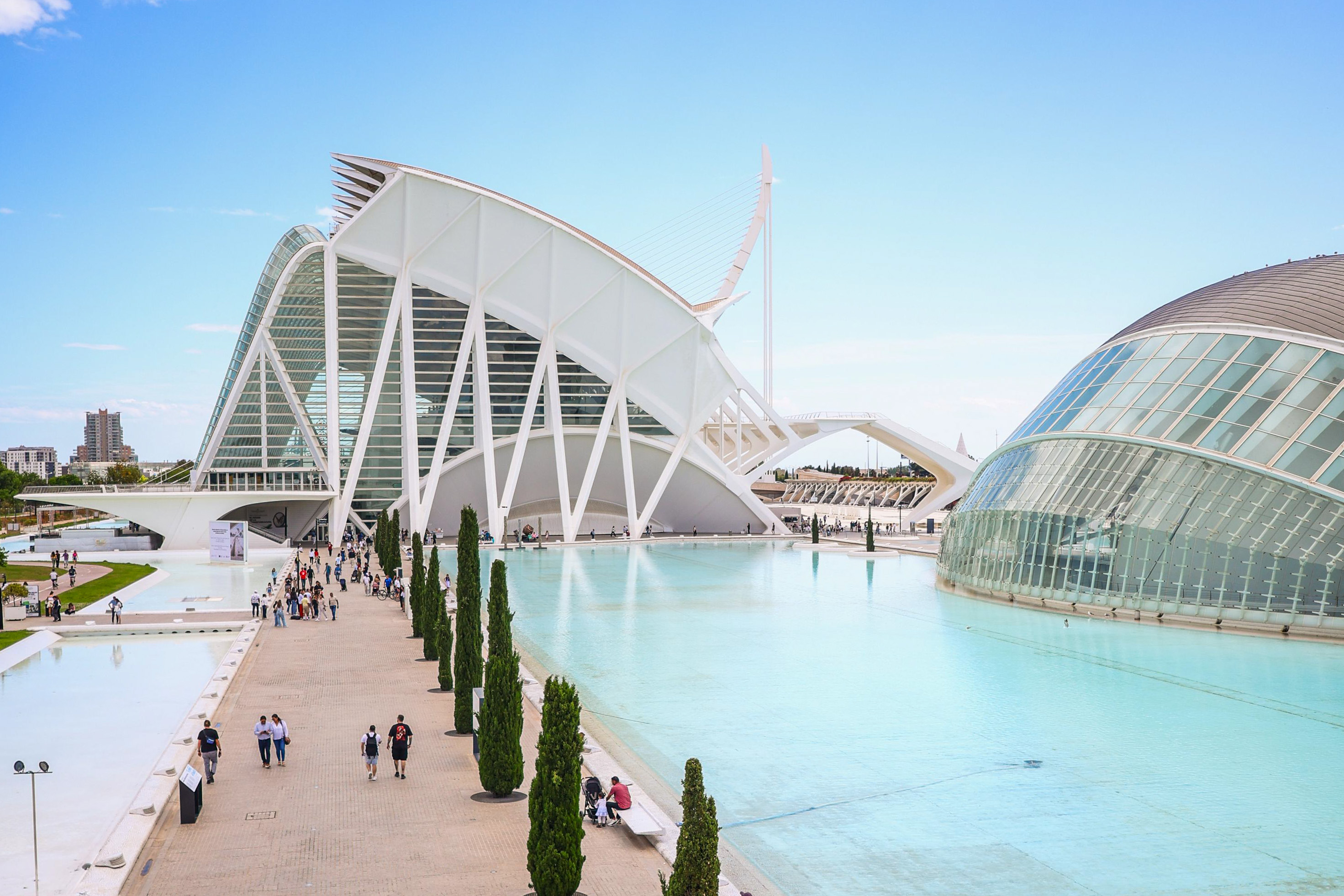 A view of the City of Arts and Sciences in Valencia.