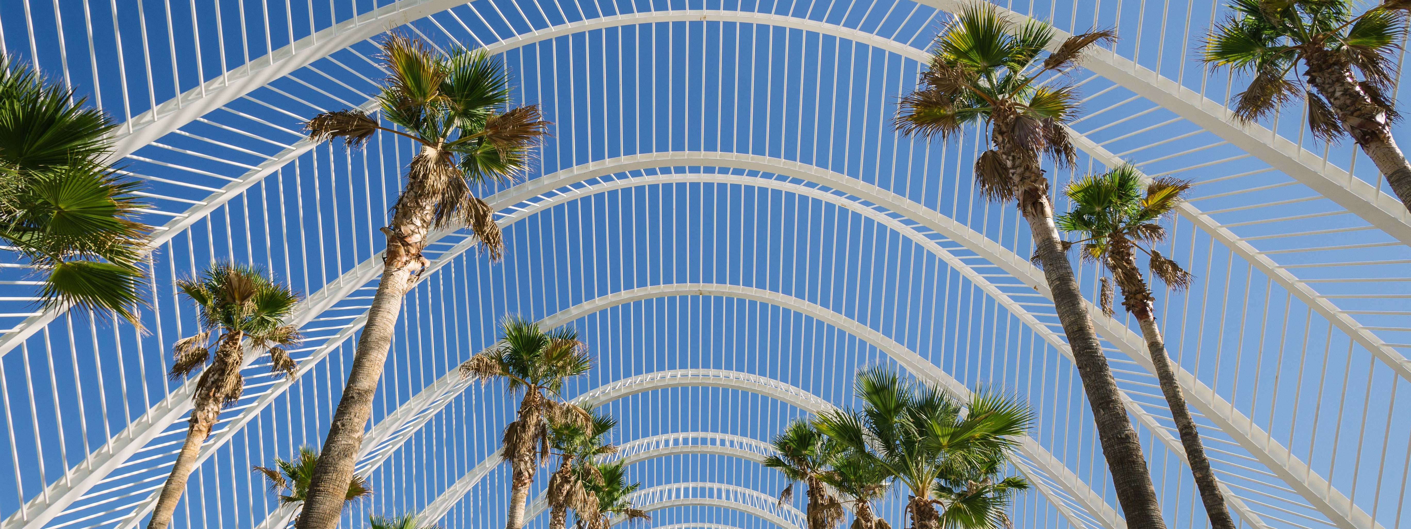 A view of modern architecture with palm trees in front.