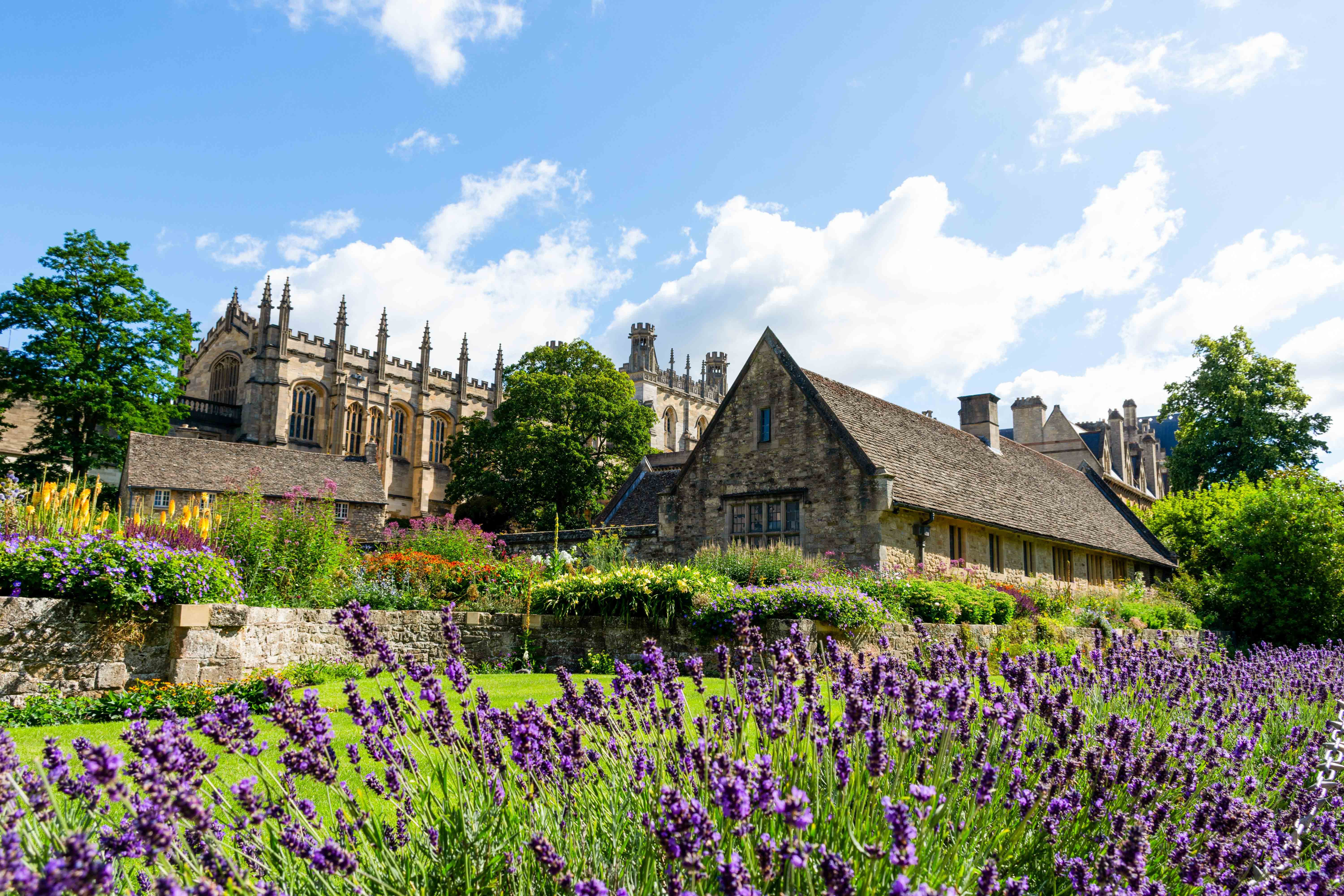 A view of historic buildings in Oxford with flowers in the foreground.