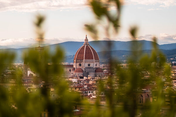 A view of the Duomo in Florence through trees.