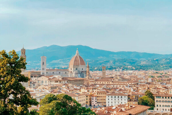 A view of the Duomo in the distance with foliage in the foreground.