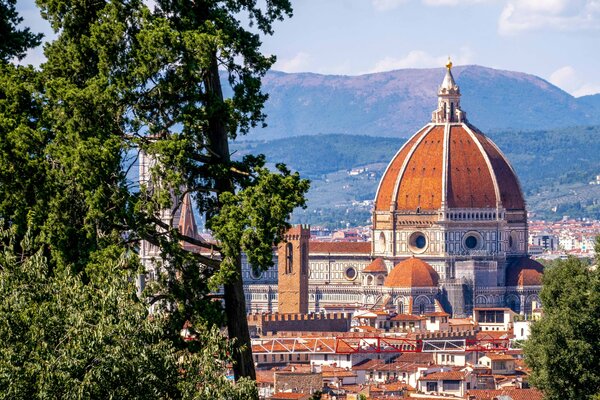A view of the Duomo in Florence through trees.