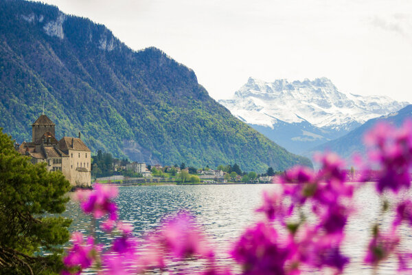 A view of a lake in Montreux, Switzerland with pink flowers in the foreground.