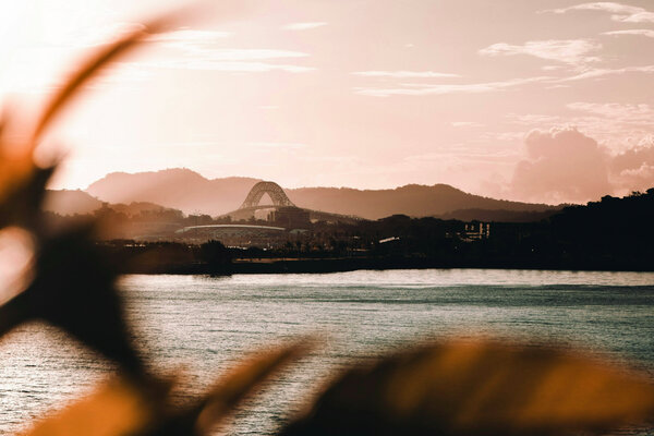 A view of the Bridge of the Americas in Panama at sunset with foliage in the foreground. 