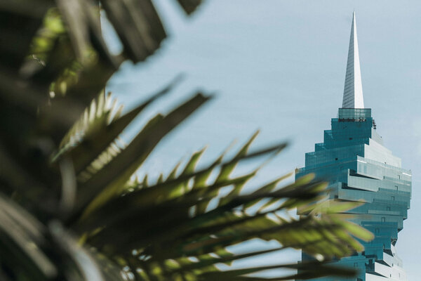 A view of a modern building in Panama through palm trees.