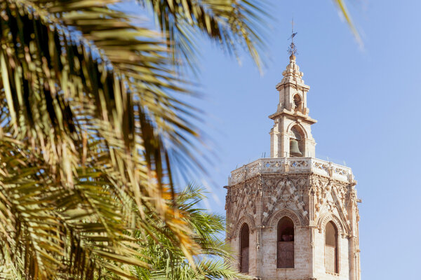 A view of Valencias cathedral spire through palm trees.